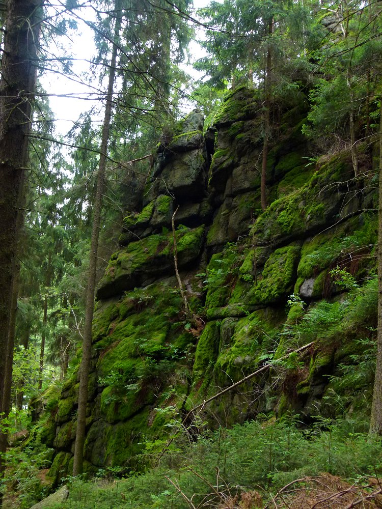 Hirschsprung im Fichtelgebirge