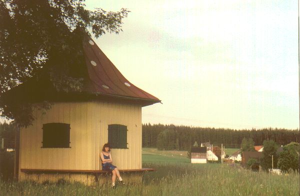 Pic 47: Leuthenforst
