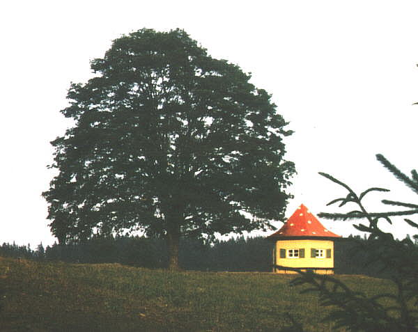 Fliegenpilz-Pavillon bei Leuthenforst