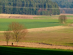 Karolinenhain - Gedenkstein für einen Mord