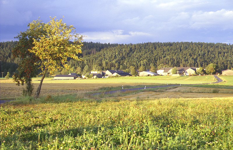 Neudorf bei Marktleuthen im Fichtelgebirge