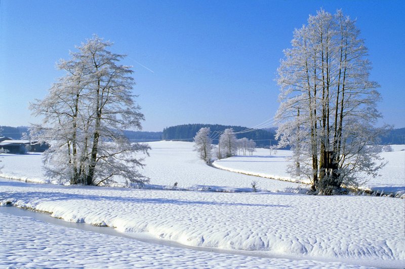 Eger und Lehstenbach bei der Neudorfer Mühle (Finkenmühle)