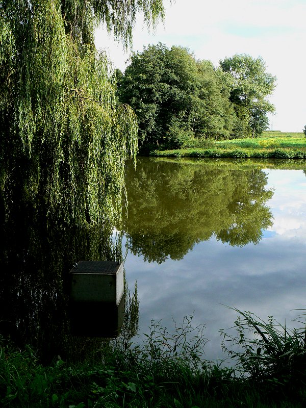 Kappelweiher in Marktleuthen