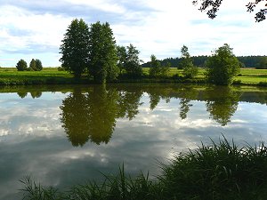 Der Kappelweiher