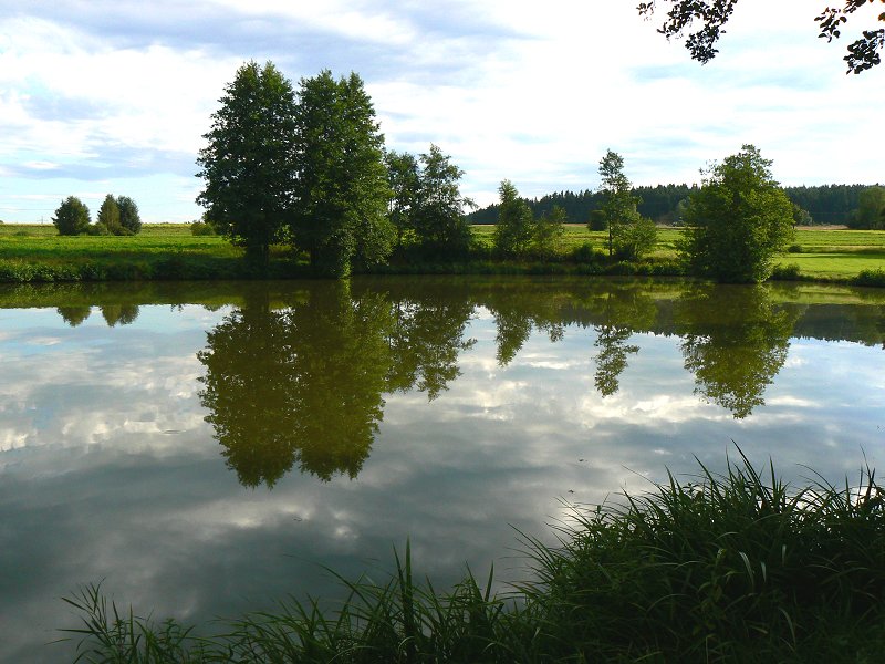 Kappelweiher in Marktleuthen