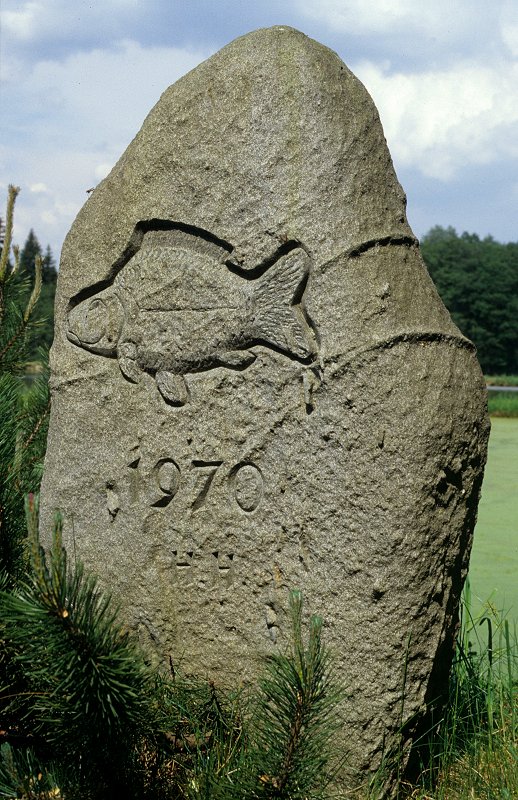 Der Karpfenstein, Gedenkstein und Körperteil des Karpfens