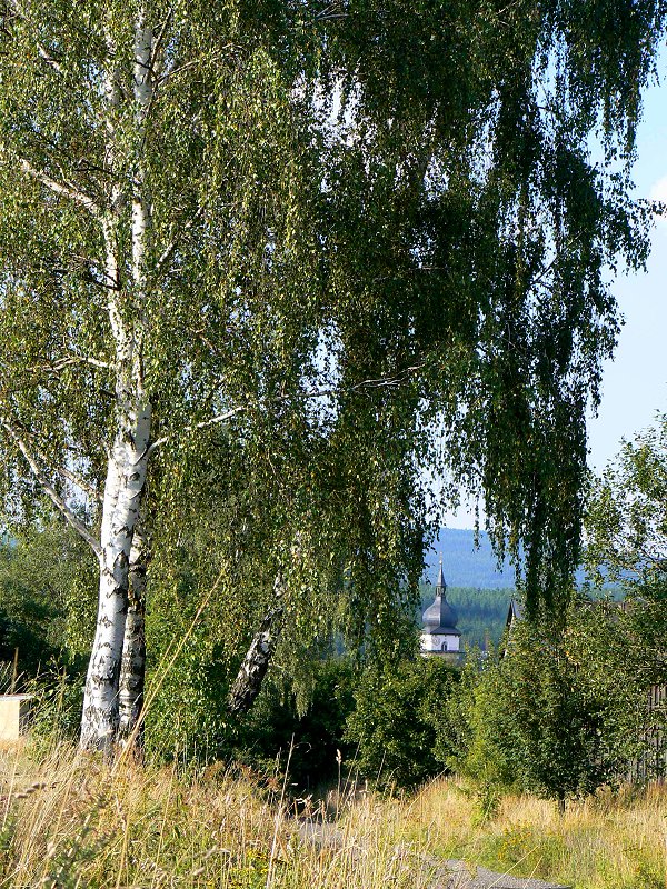 Kirchturm in Marktleuthen vom Galgenberg gesehen