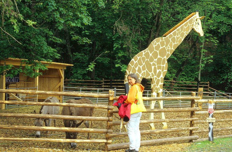 Bund Naturschutz - Alte Haustier-Rassen: Esel