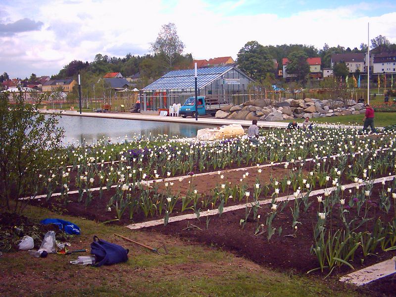 Grenzenlose Gartenschau - Blumen-Kaskaden