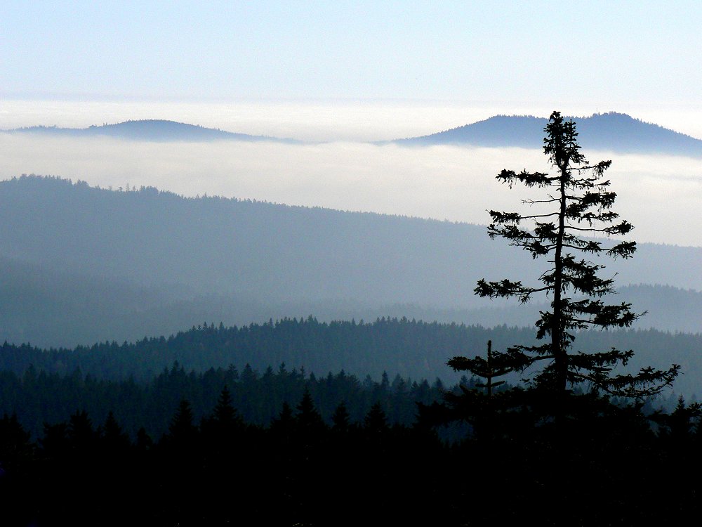 Kösseine und Luisenburg im Morgennebel vom Ochsenkopf gesehen