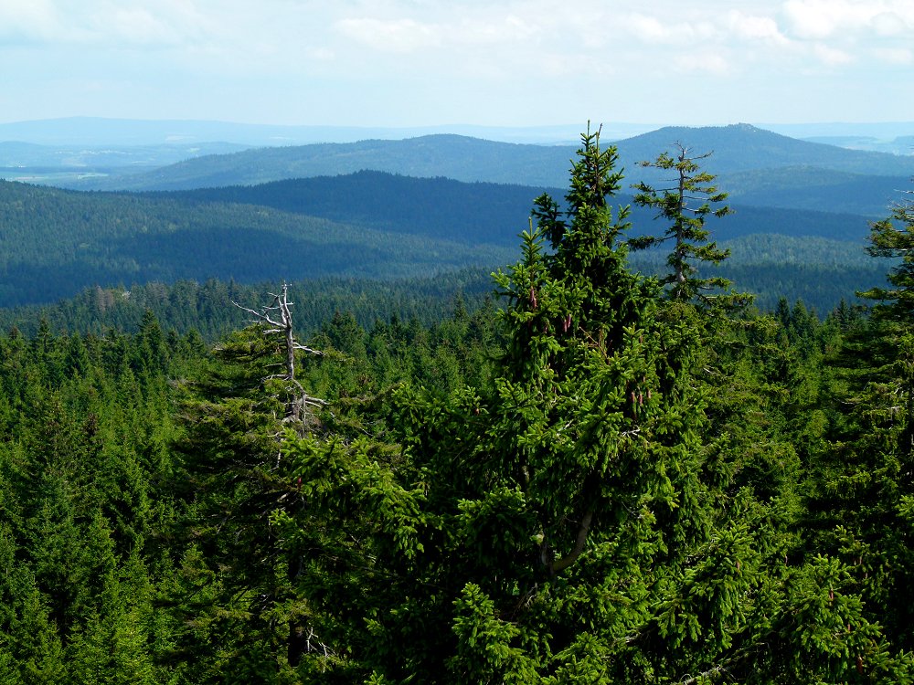 Aussicht vom Ochsenkopf Richtung Kösseine, Luisenburg und Wunsiedel