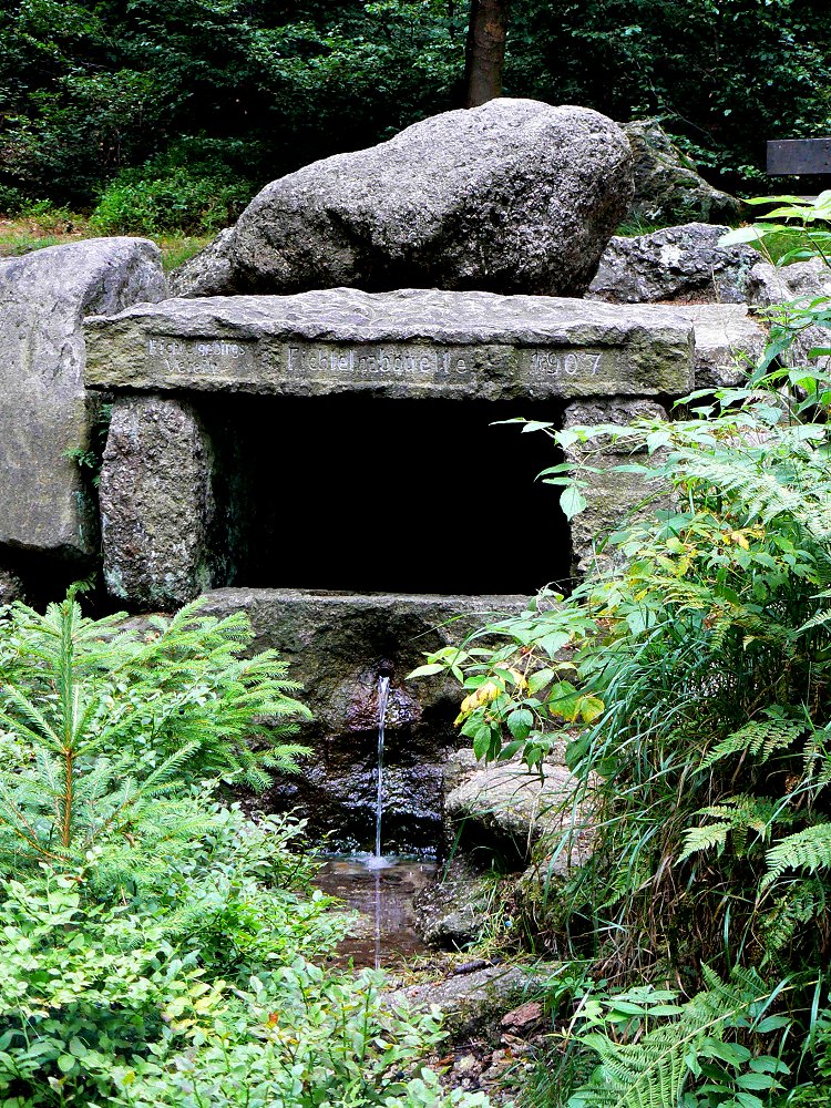 Die Naabquelle im Fichtelgebirge