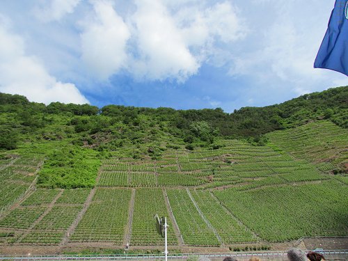 Valwig-Herrenberg an der Mosel