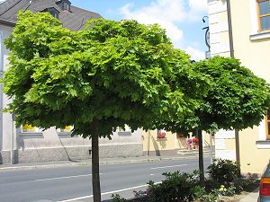 Marktplatz