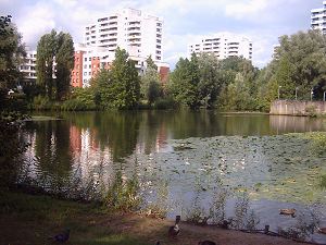 Stadtweiher in Hochdahl