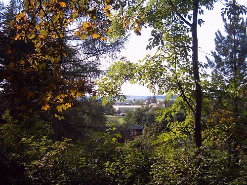 Blick vom Teufelstein auf Marktleuthen