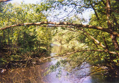 Wuppertal-Beyenburg: Blick von der Brücke auf die Wupper