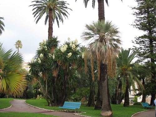 Park in Beaulieu-sur-Mer