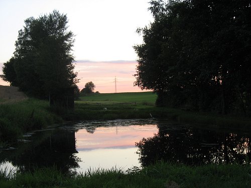 Der junge Bibersbach durchfließt einen Weiher