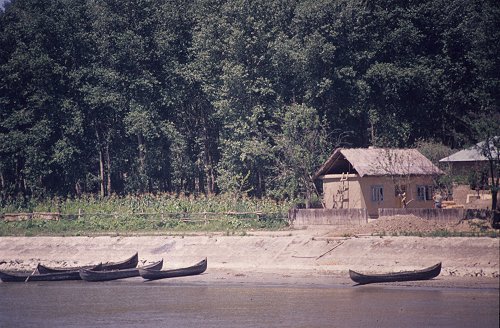 Donaudelta