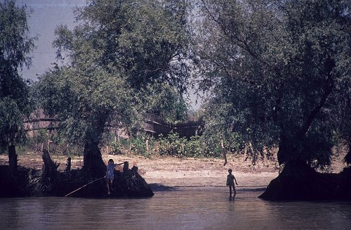 Donaudelta