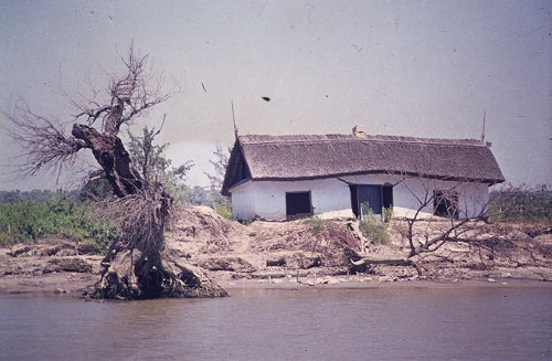 Donaudelta