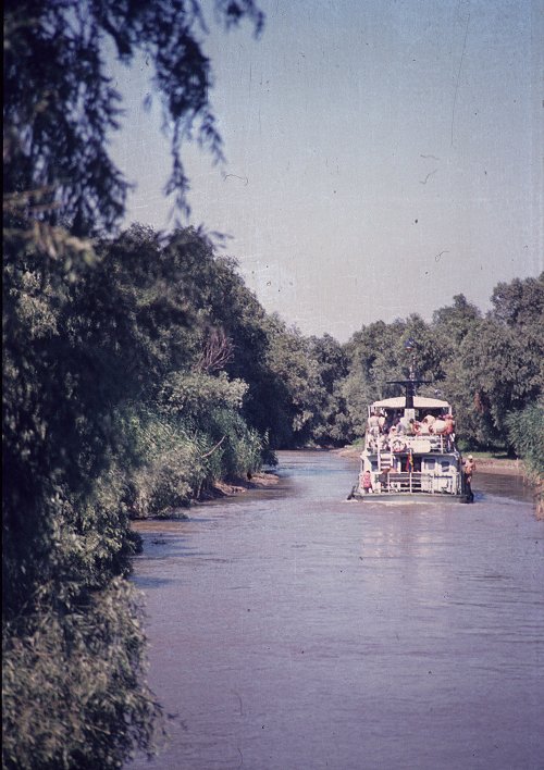 Donaudelta