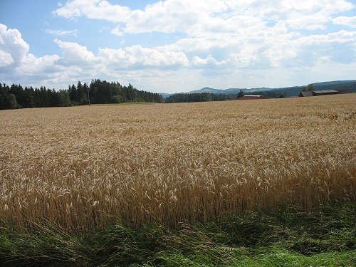 Oberpfalz am 22.7.2007