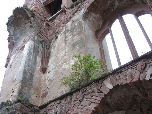 Schlossruine