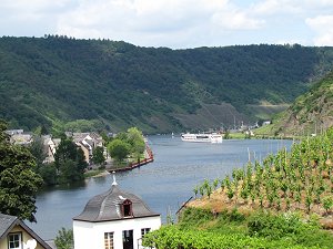 Mosel bei Beilstein