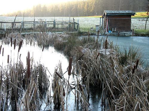 Alwins Weiher im Winter