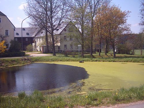 Weiher in Neudes