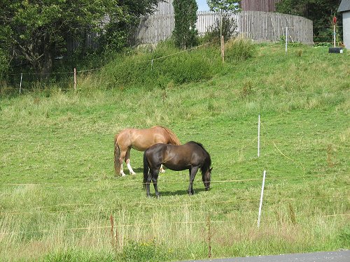 Oberpfalz am 22.7.2007