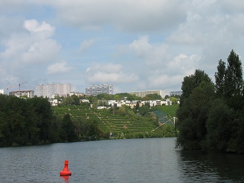 Neckar