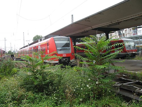 Worms HBF
