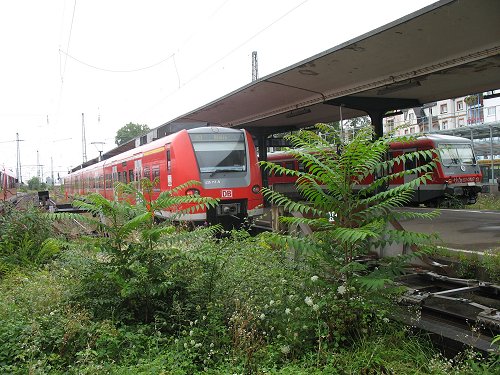 Worms HBF