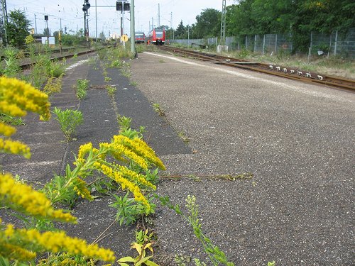 Worms HBF