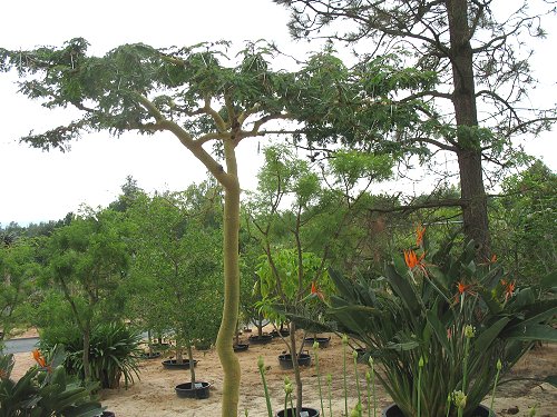 Ökologisch-Botanischer Garten