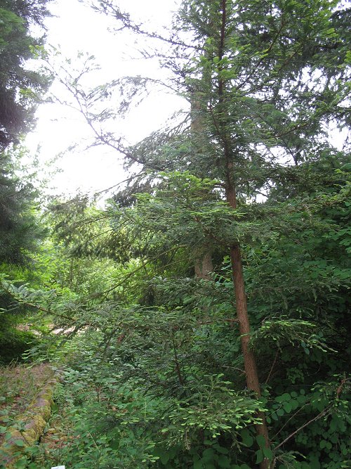 Ökologisch-Botanischer Garten