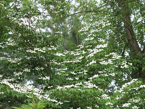 Ökologisch-Botanischer Garten