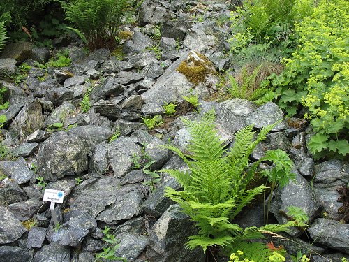 Ökologisch-Botanischer Garten