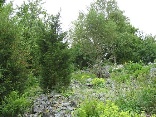 Ökologisch-Botanischer Garten