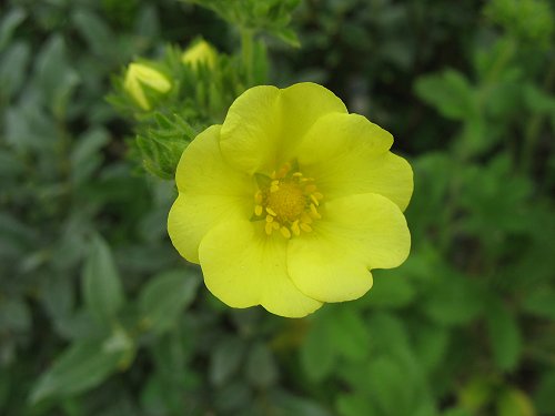 Ökologisch-Botanischer Garten