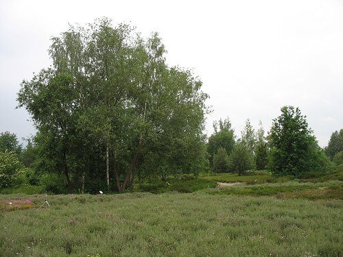 Ökologisch-Botanischer Garten