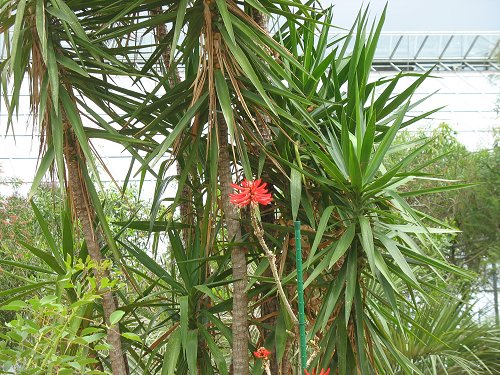 Ökologisch-Botanischer Garten