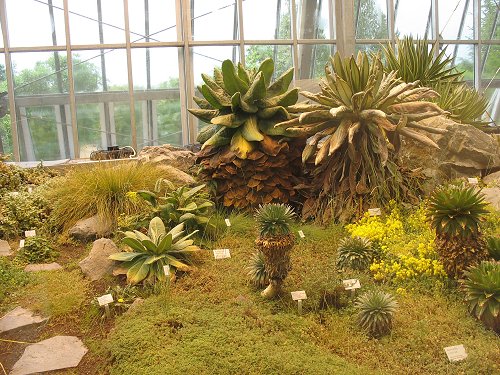 Ökologisch-Botanischer Garten