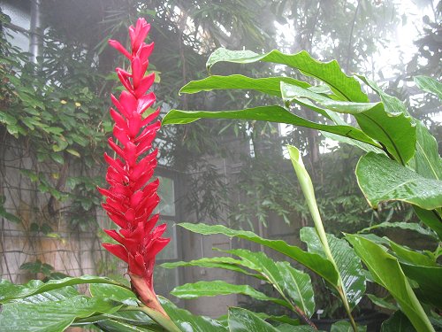 Ökologisch-Botanischer Garten