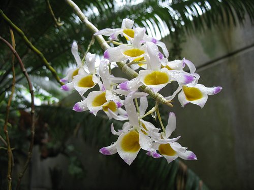 Ökologisch-Botanischer Garten