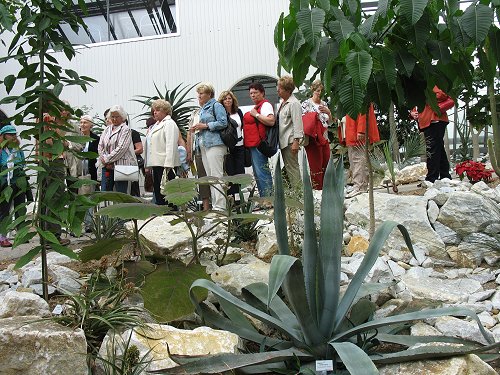 Ökologisch-Botanischer Garten