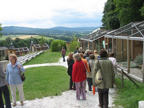 Wunsiedel Greifvogelpark